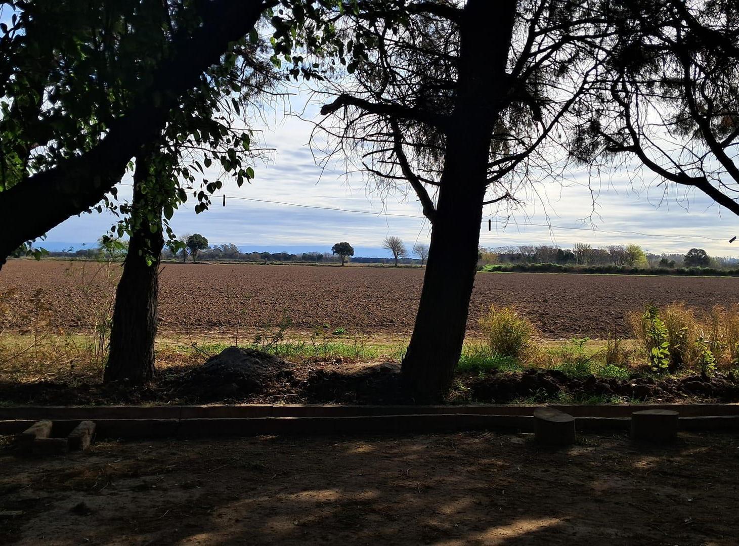 Foto de Campo Ferreyra, imagen 2