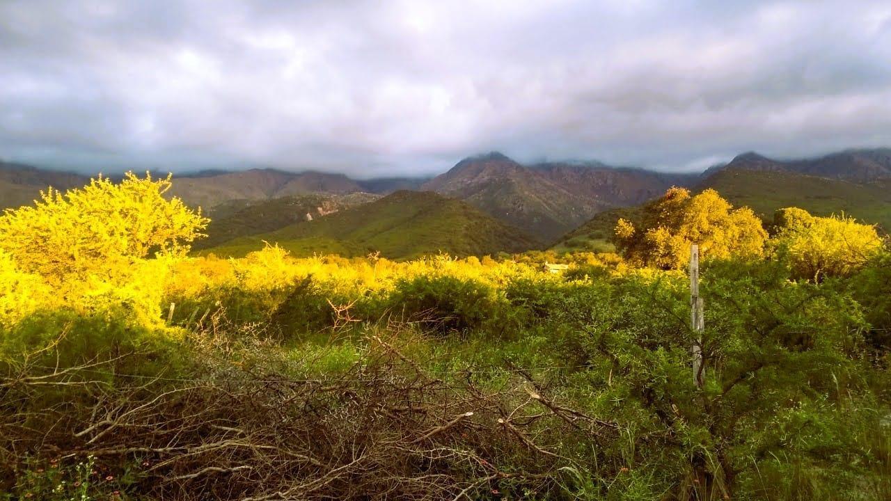 Foto de CAMPO EN VENTA – 36 HECTÁREAS EN CALAMUCHITA, imagen 3