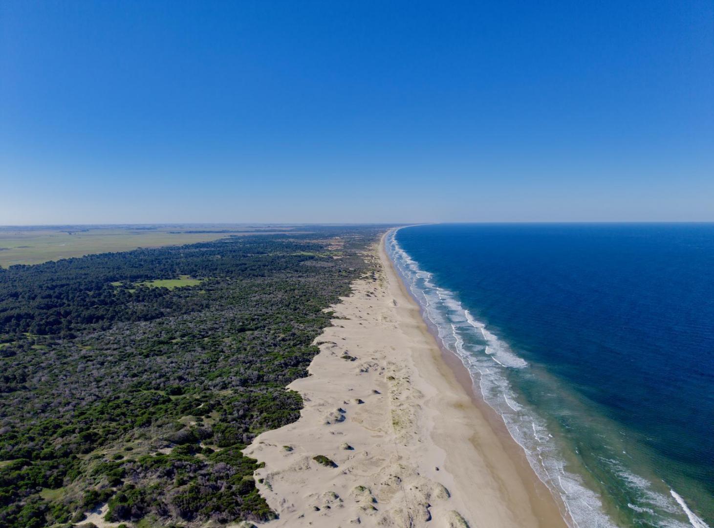 Venta de Campo Luxury en Rocha – 241 Hectáreas con 2.100 Metros frente a Costa Oceánica
