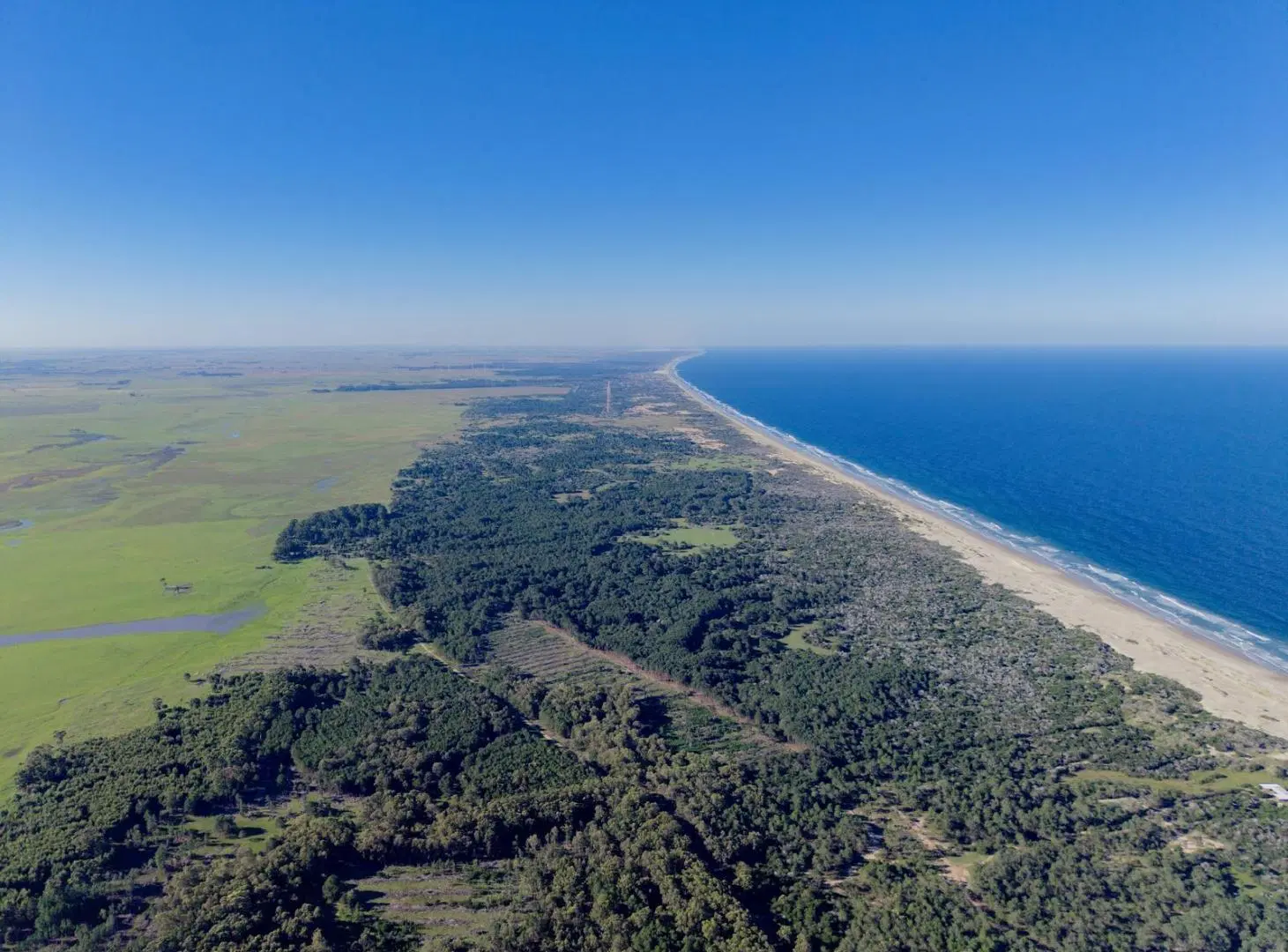 Venta de Campo Luxury en Rocha – 241 Hectáreas con 2.100 Metros frente a Costa Oceánica 5