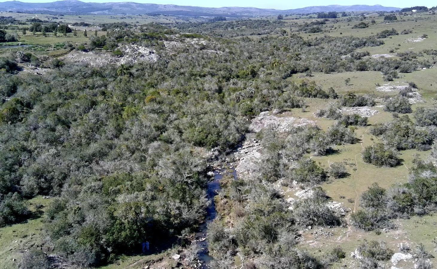 Foto de Chacras en venta de 3 a 5.6 Ha sobre Ruta 39 Vistas Agua Naturaleza a, imagen 3