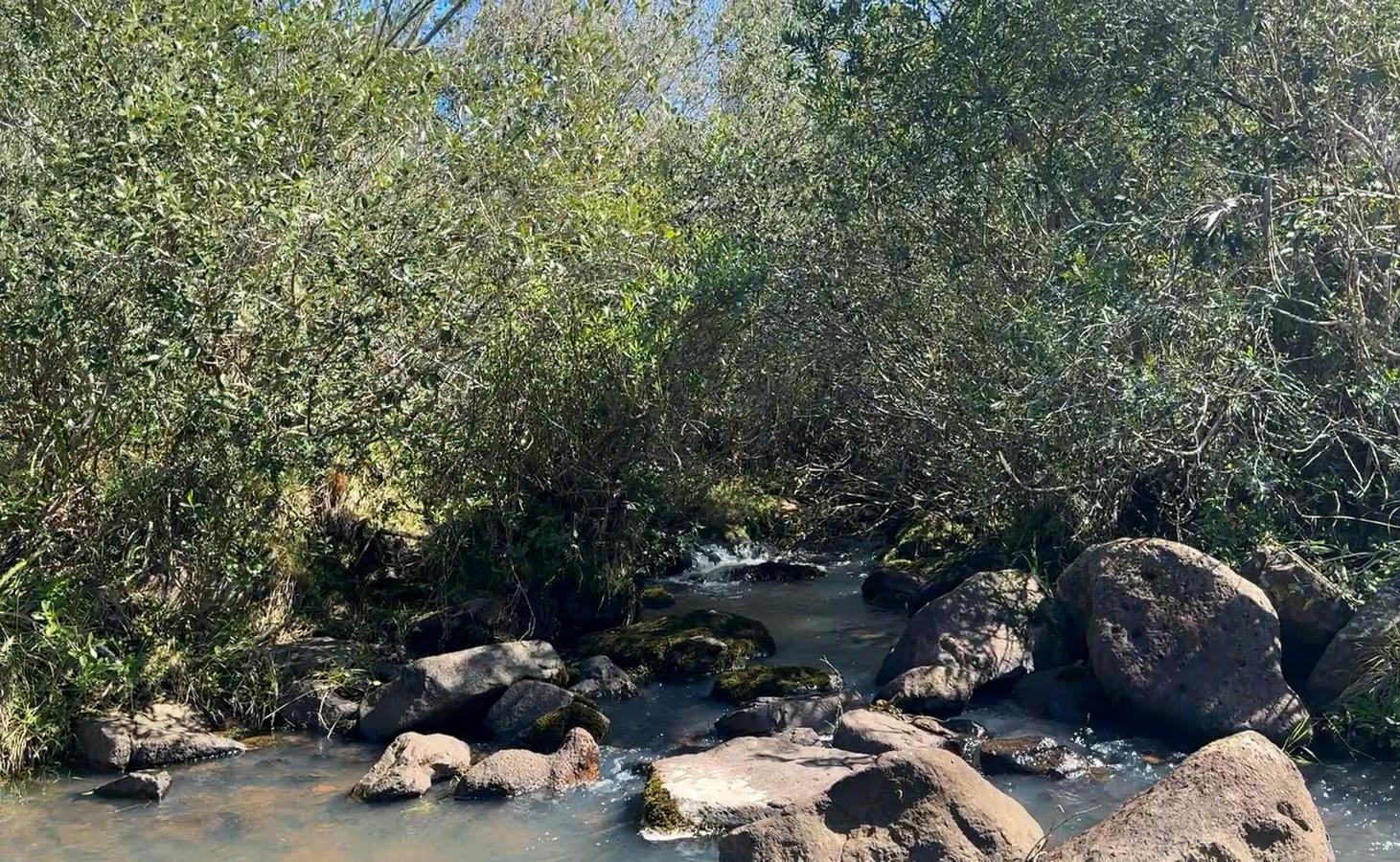 Foto de Chacras en venta de 3 a 5.6 Ha sobre Ruta 39 Vistas Agua Naturaleza a, imagen 1