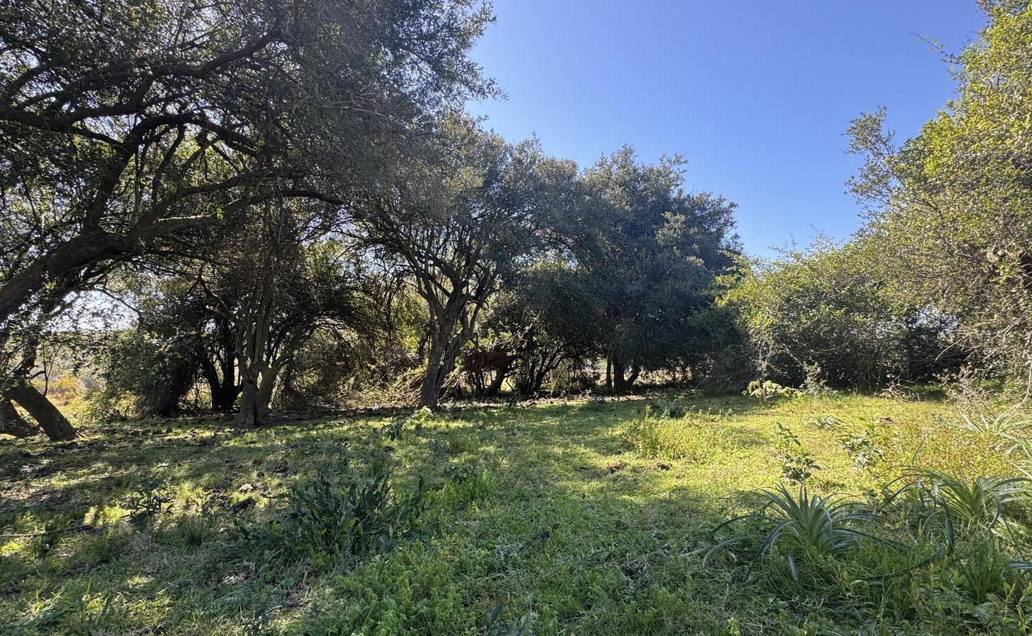 Foto de Chacras en venta de 3 a 5.6 Ha sobre Ruta 39 Vistas Agua Naturaleza a, imagen 5