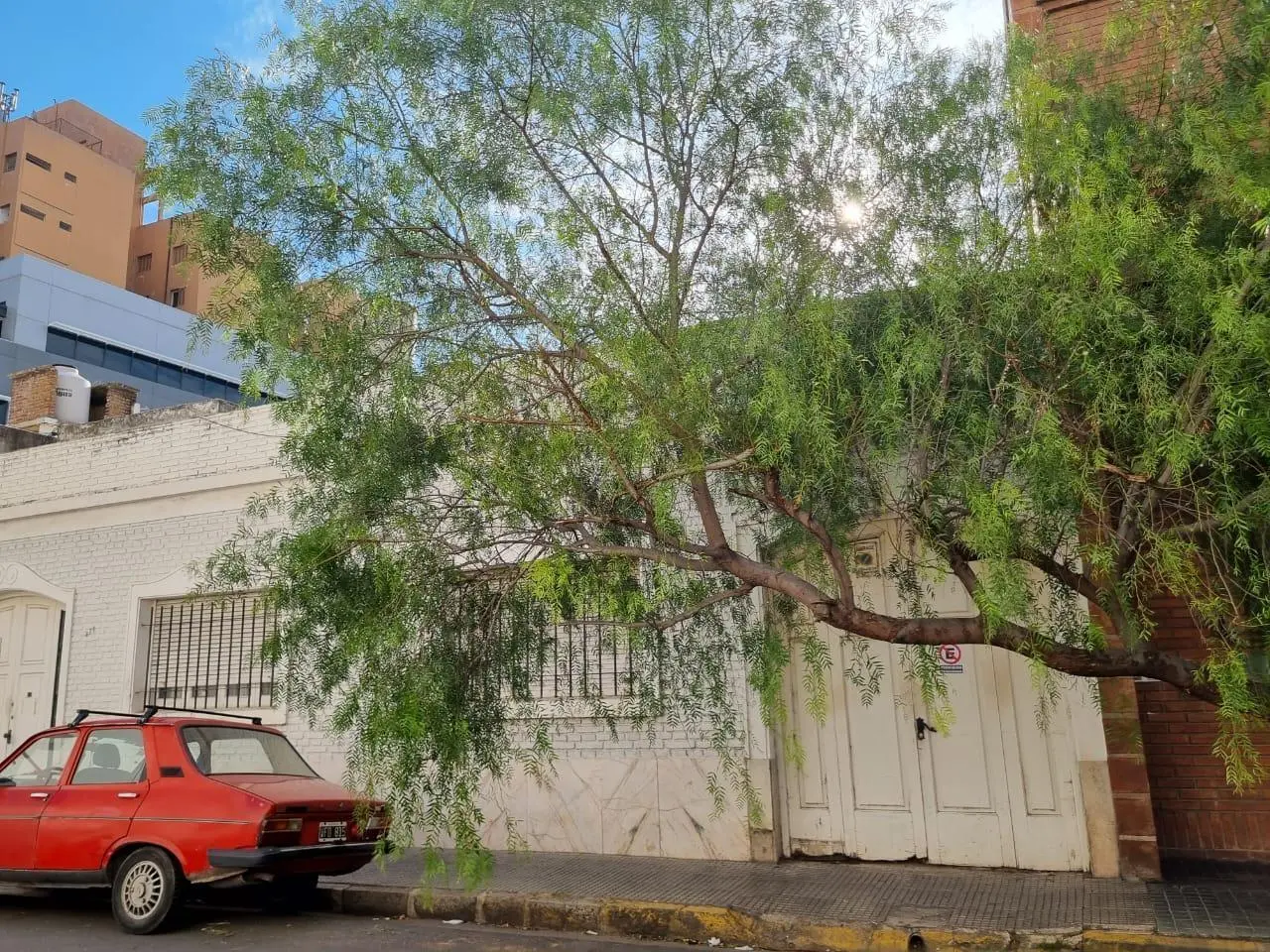 Gran Oportunidad de Inversión a metros de Av Colon, lote Estratégico para desarrollo en Altura ¡¡ 5