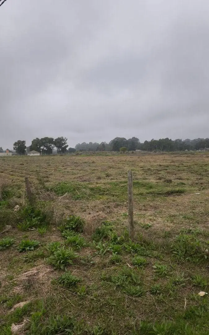Terreno de 2 Hectareas en Venta Ubicado en 610 y 27 2