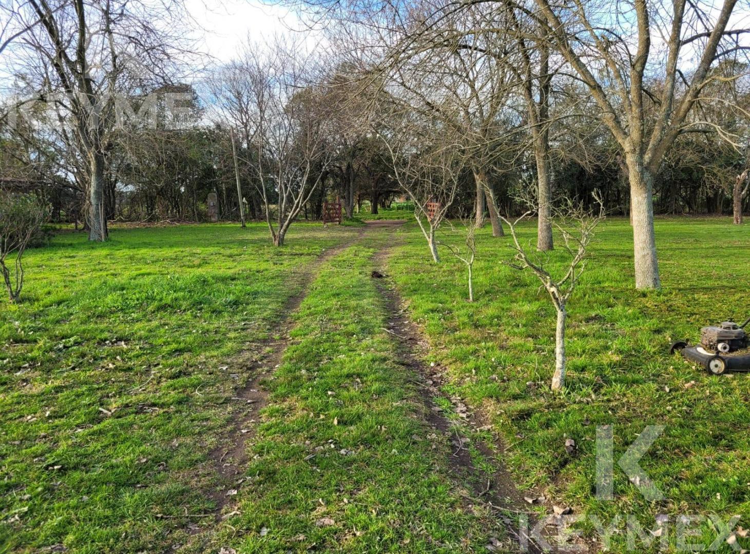 Foto de Campo en Venta EN ARTURO SEGUÍ, imagen 1