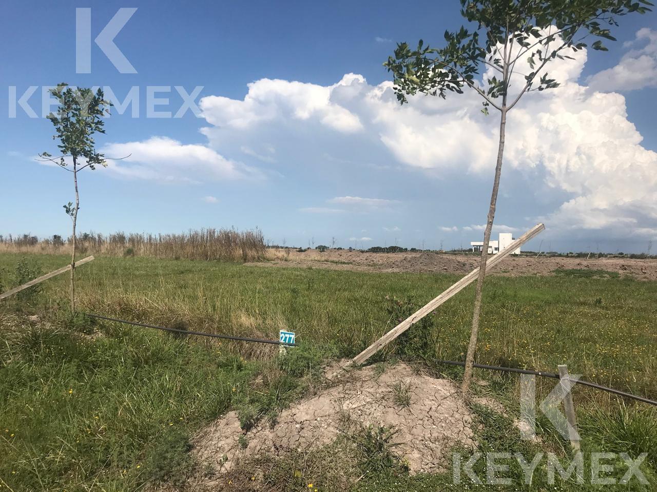 Foto de Terreno en venta en Campos de la Enriqueta, imagen 3