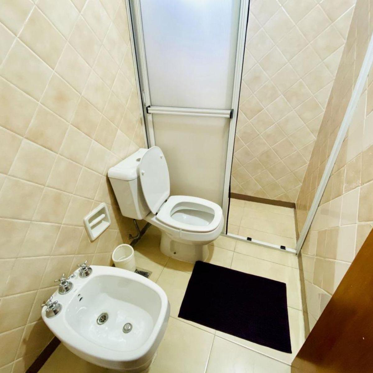 Brown 2725 2