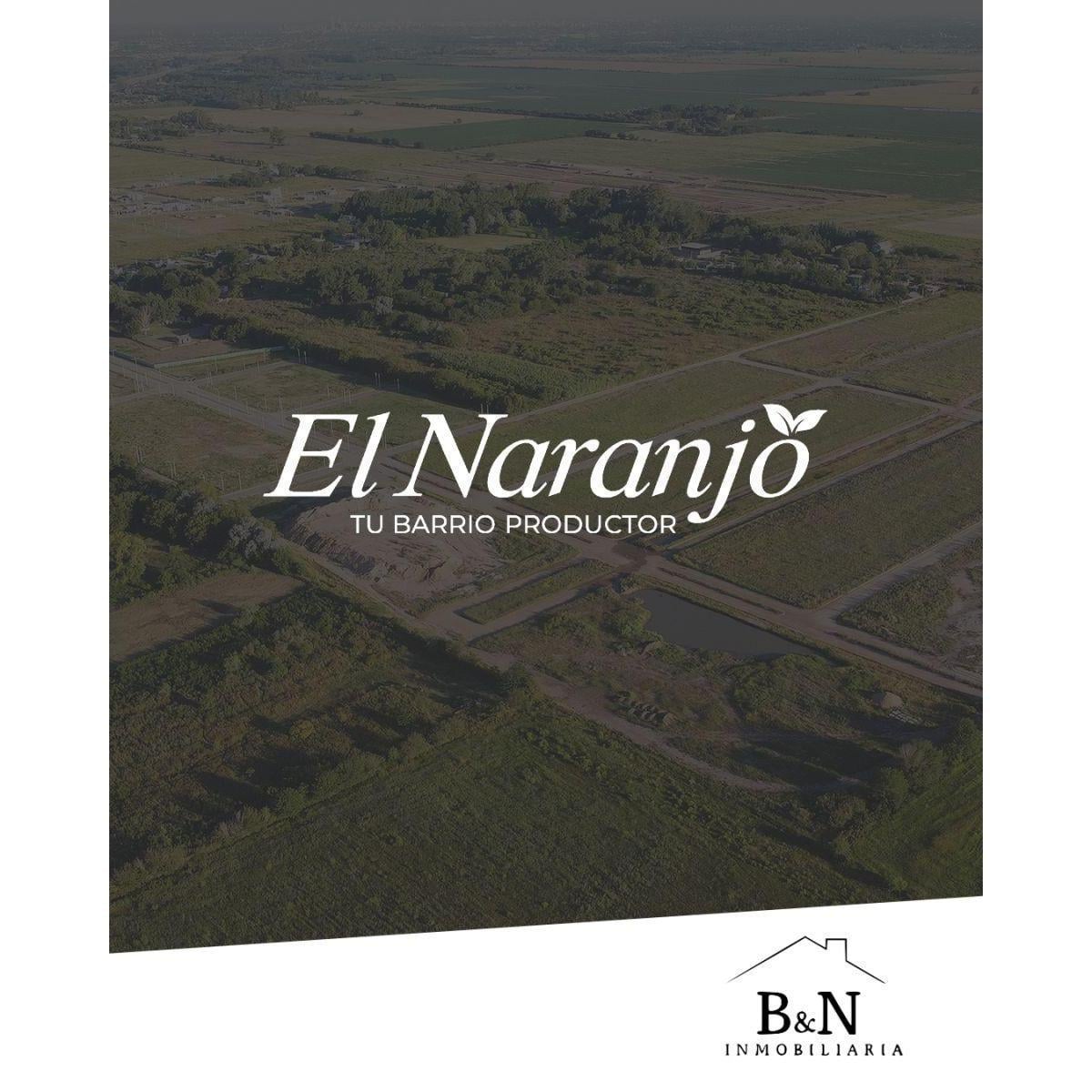 Foto de EL NARANJO - Barrio Abierto., imagen 2
