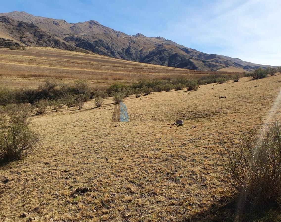 Foto de TERRENO EN LA OVEJERIA "TAFI DEL VALLE", imagen 2