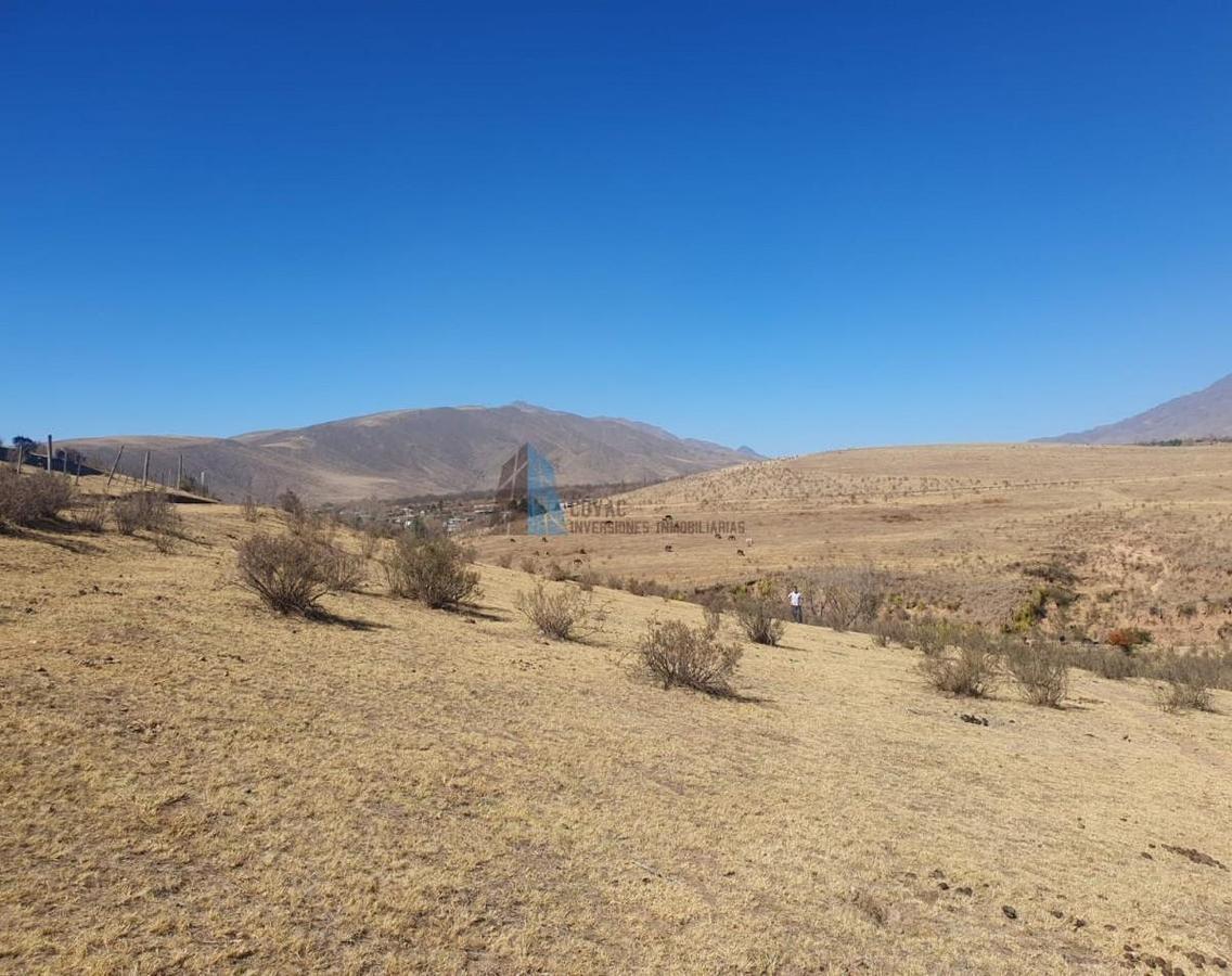 Foto de TERRENO EN LA OVEJERIA "TAFI DEL VALLE", imagen 1