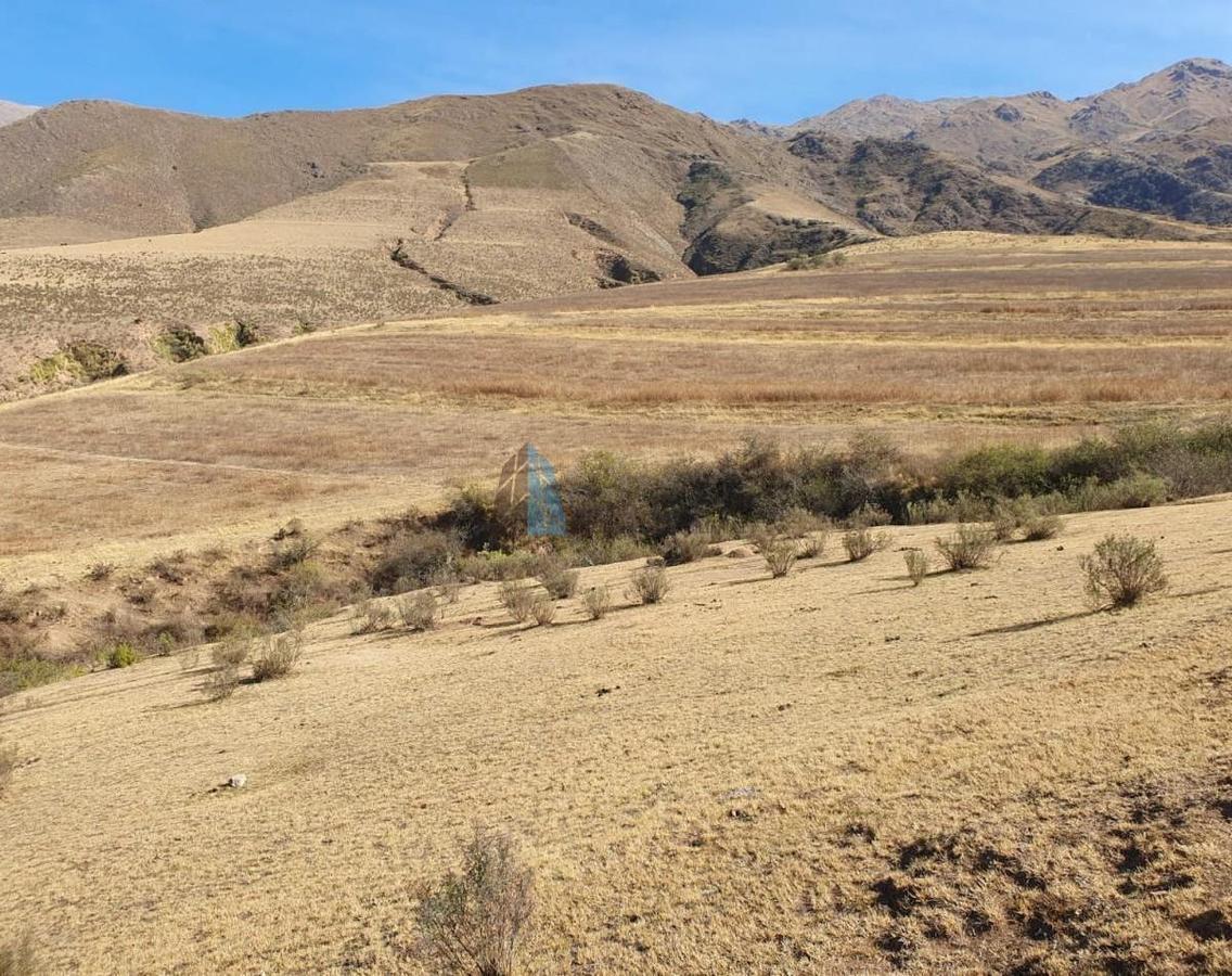 Foto de TERRENO EN LA OVEJERIA "TAFI DEL VALLE", imagen 3