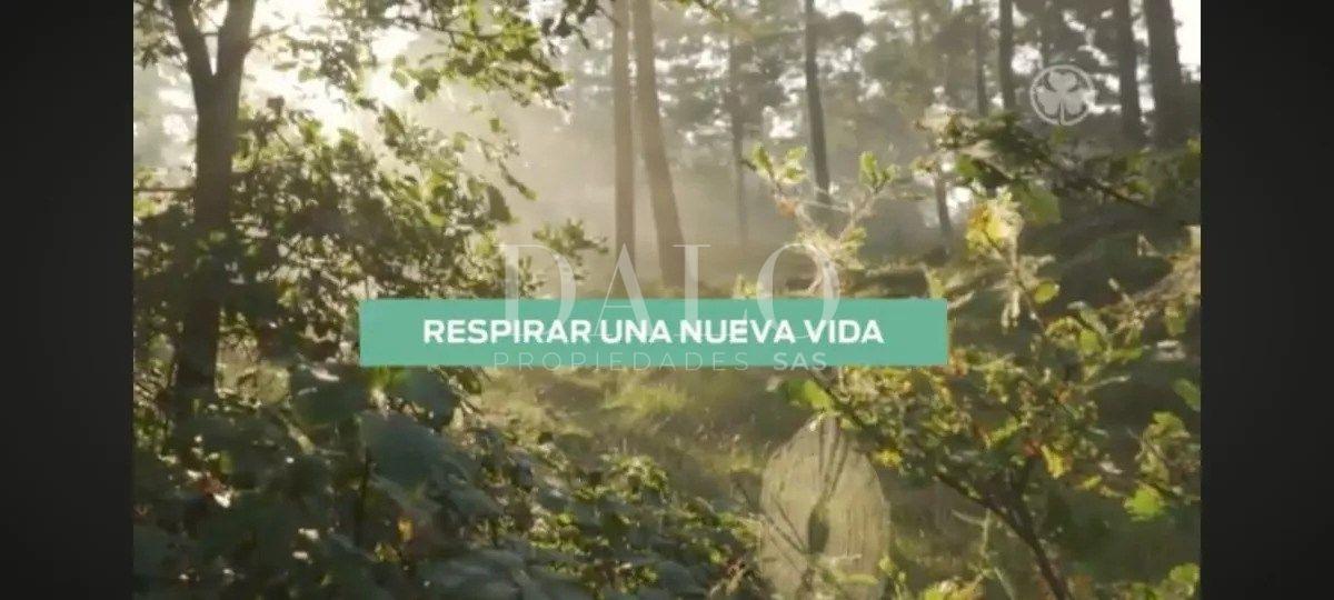 Terreno Lote en Venta en Guillermo Enrique Hudson, Berazategui, G. B. a. Zona Sur 3