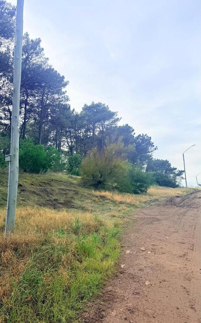 Foto de Terreno en Monte Hermoso, imagen 1