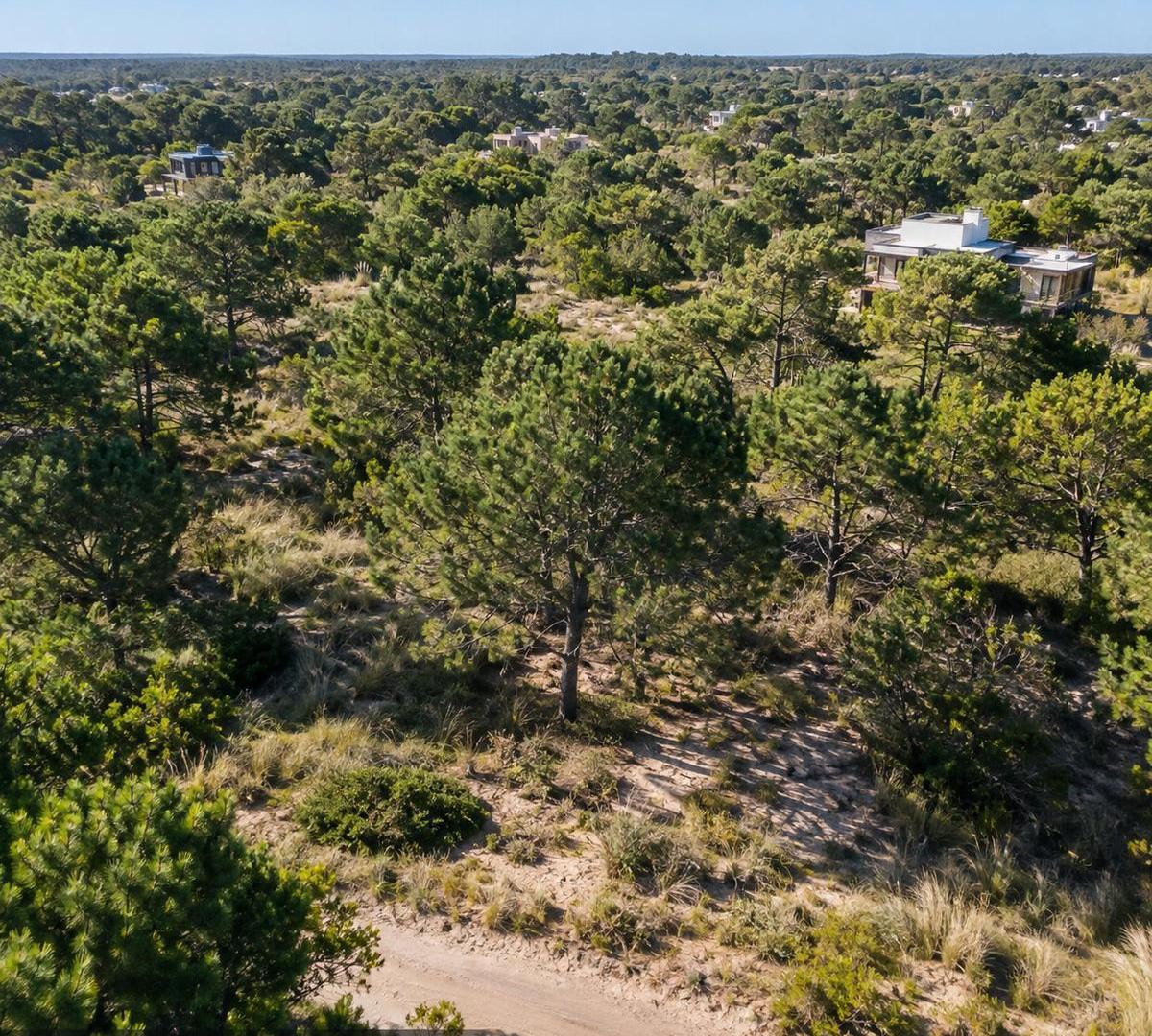 Foto de Terreno en Monte Hermoso, imagen 5