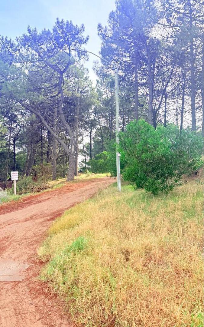 Foto de Terreno en Monte Hermoso, imagen 5