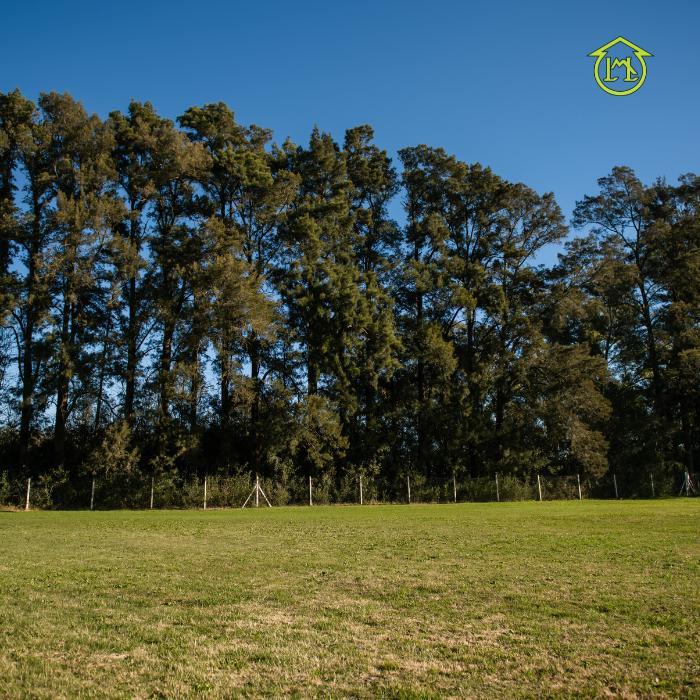 3.442 m² con 210 m² de Mejoras en Barrio San Francisco (San Andrés de Giles) 4