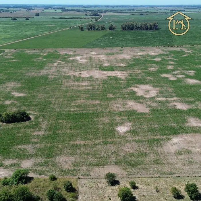 Campo de 40.4 Has 100% Agrícola - Azcuénaga, San Andrés De Giles 4