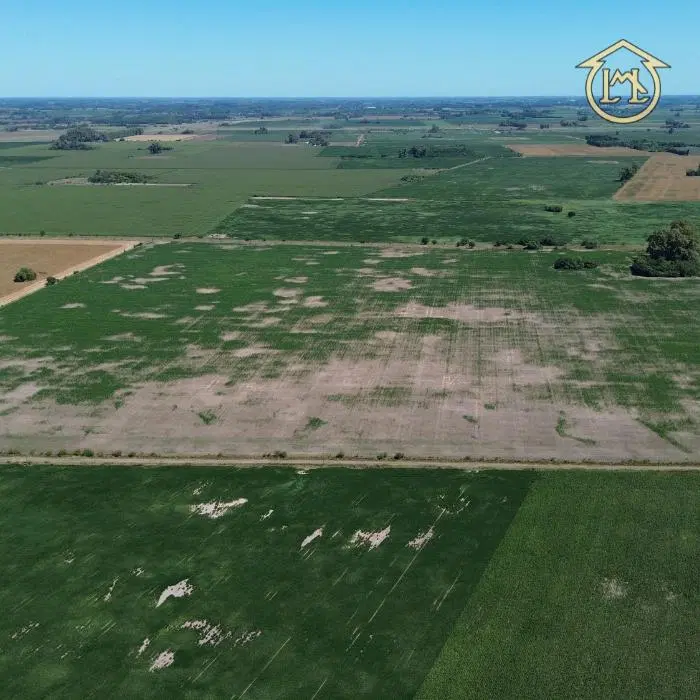 Campo de 40.4 Has 100% Agrícola - Azcuénaga, San Andrés De Giles 3