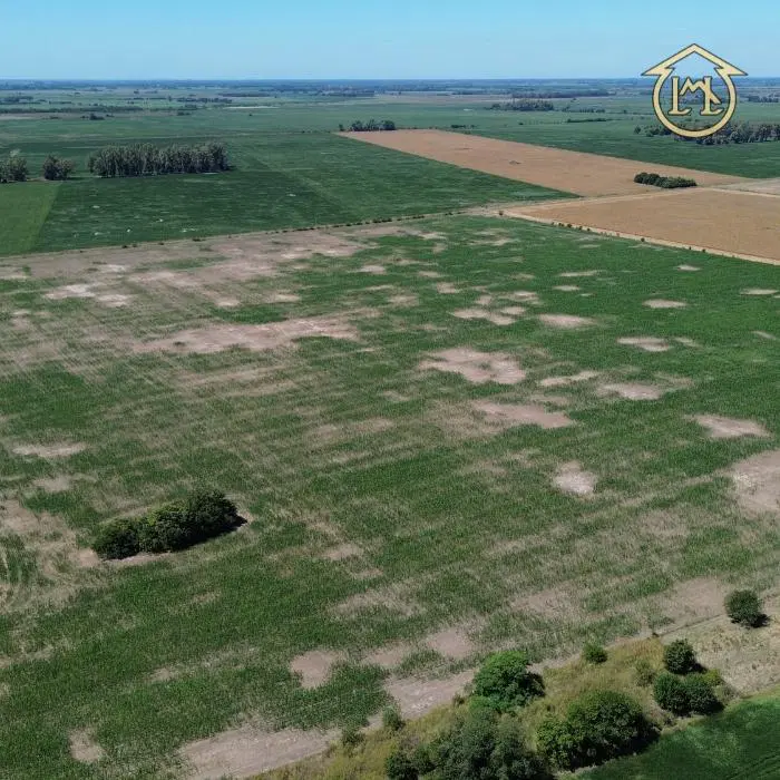 Campo de 40.4 Has 100% Agrícola - Azcuénaga, San Andrés De Giles 2
