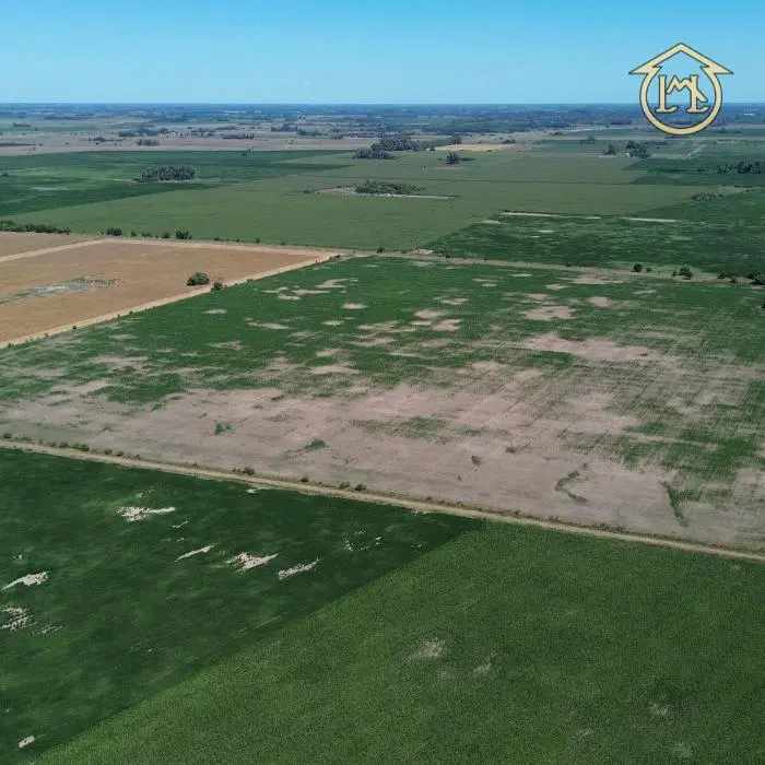 Campo de 40.4 Has 100% Agrícola - Azcuénaga, San Andrés De Giles 5