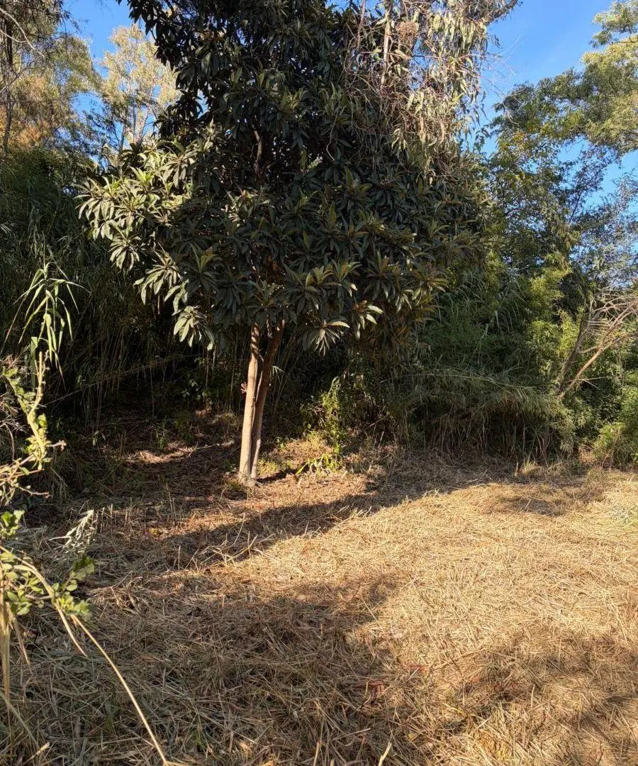 Se VENDE terreno en excelente ubicación 3