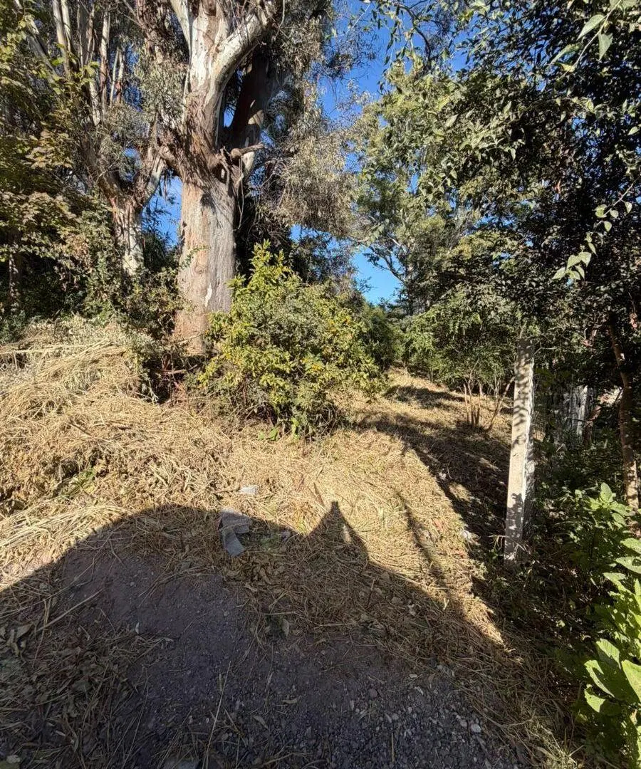 Se VENDE terreno en excelente ubicación 5