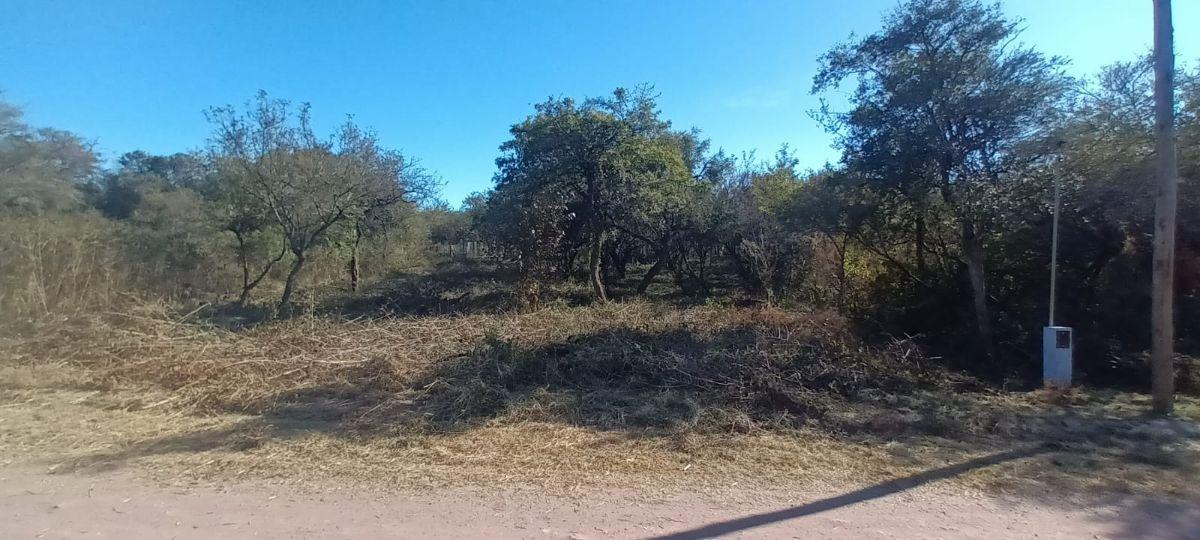 Foto de VENTA terreno con proyecto renderizado aprobado en Río Ceballos, imagen 4