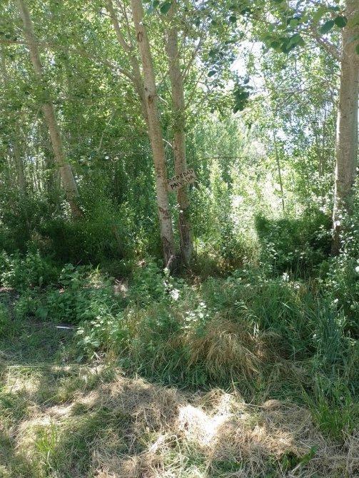 Amplio Lote en Aguas Verdes 3