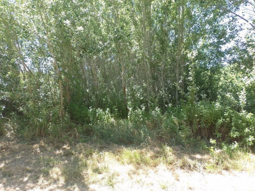 Amplio Lote en Aguas Verdes 5