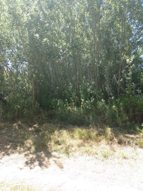 Amplio Lote en Aguas Verdes 2