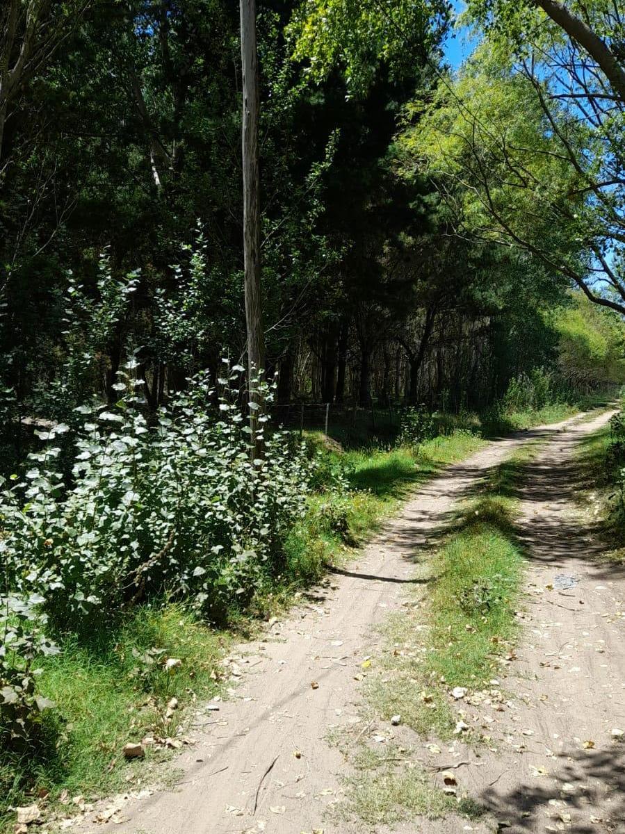 Foto de oportunidad lote aguas verdes, imagen 4