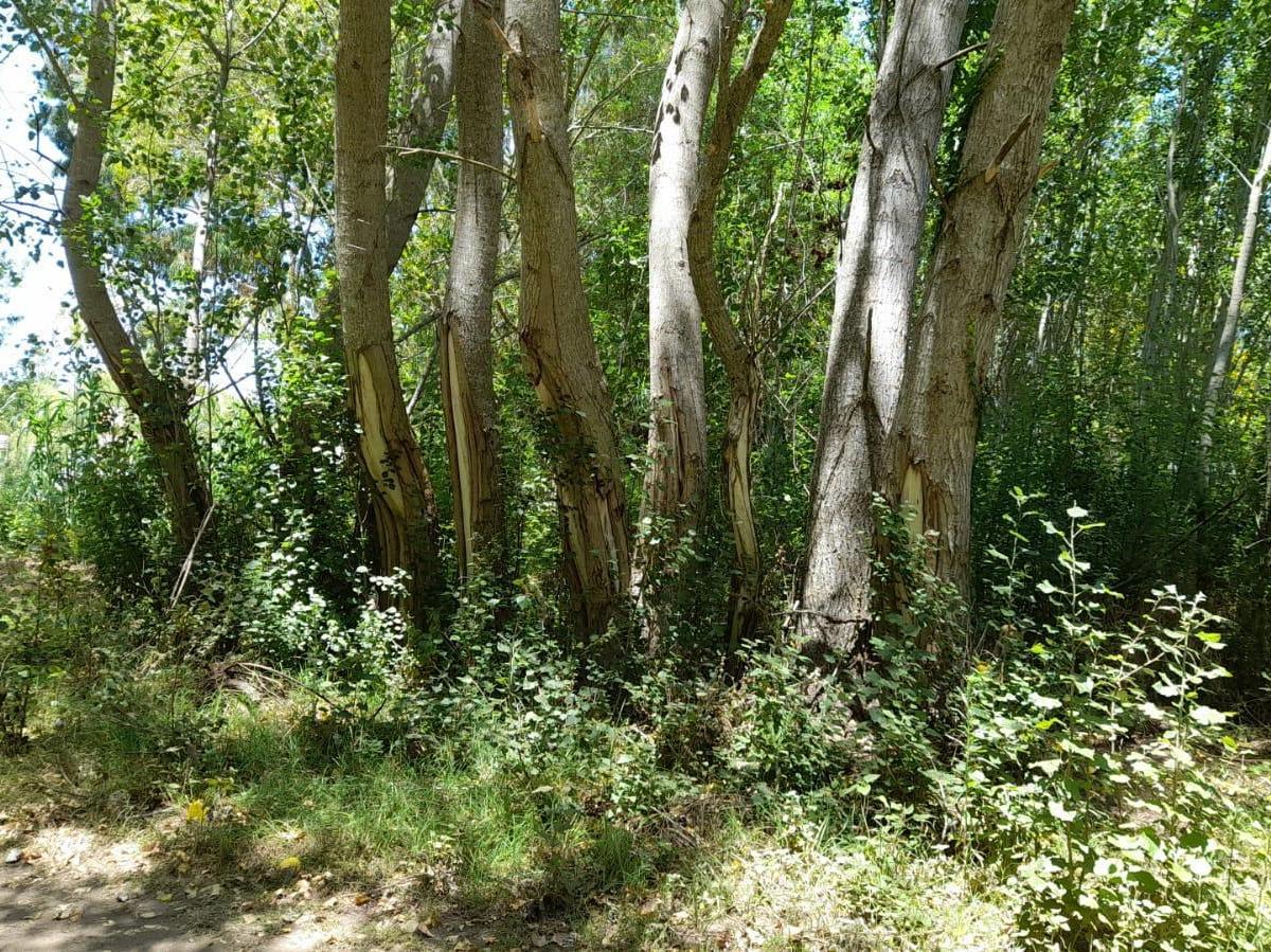 Foto de oportunidad lote aguas verdes, imagen 3