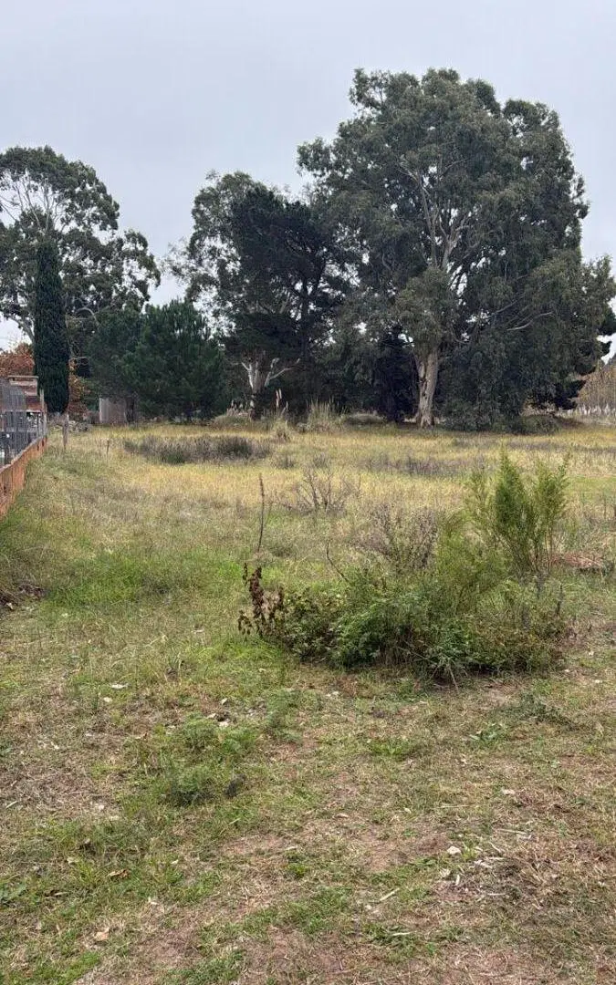 OPORTUNIDAD LOTE EN EL PINAR 2