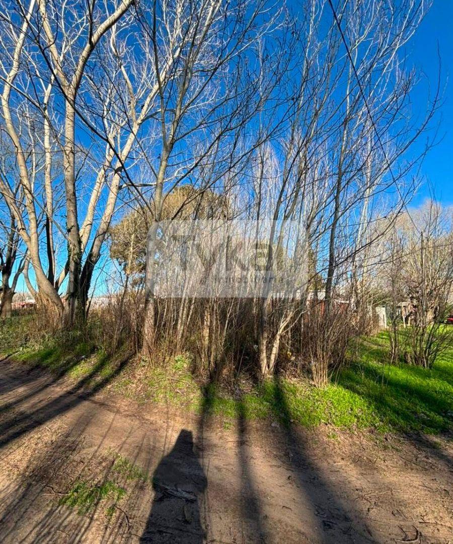 Foto de Oportunidad Lote en esquina Aguas Verdes, imagen 3