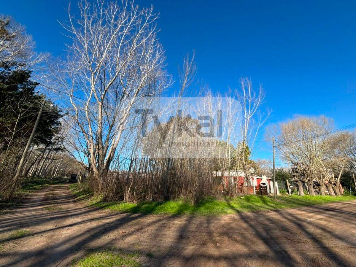 Foto de Oportunidad Lote en esquina Aguas Verdes, imagen 5