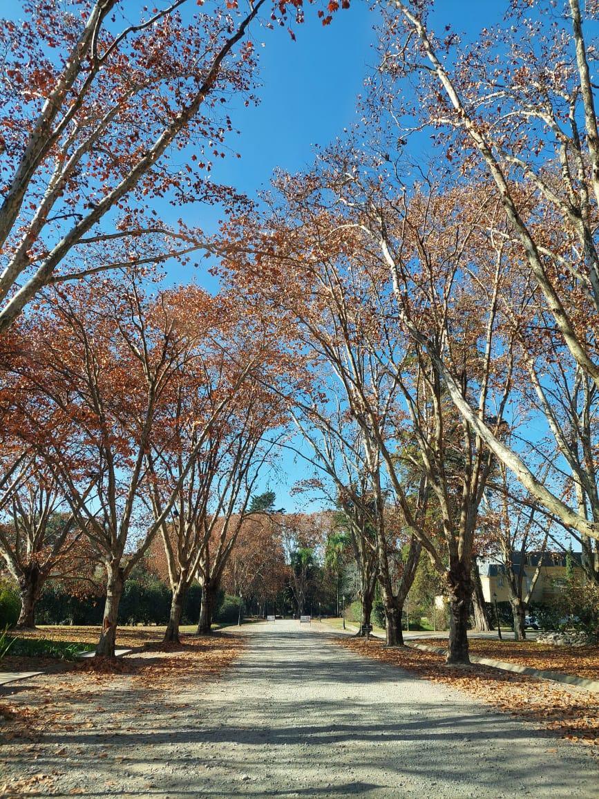 VENDO TERRENO FINCA LA MONTAÑA( Barrio privado) SALTA