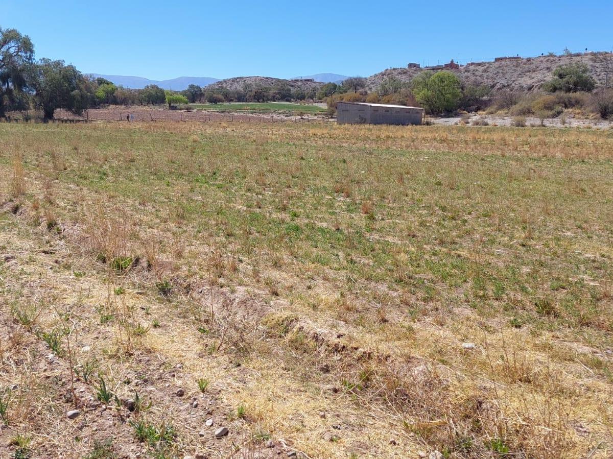 Vendo Terreno 5 Ha Cachi - Salta 3
