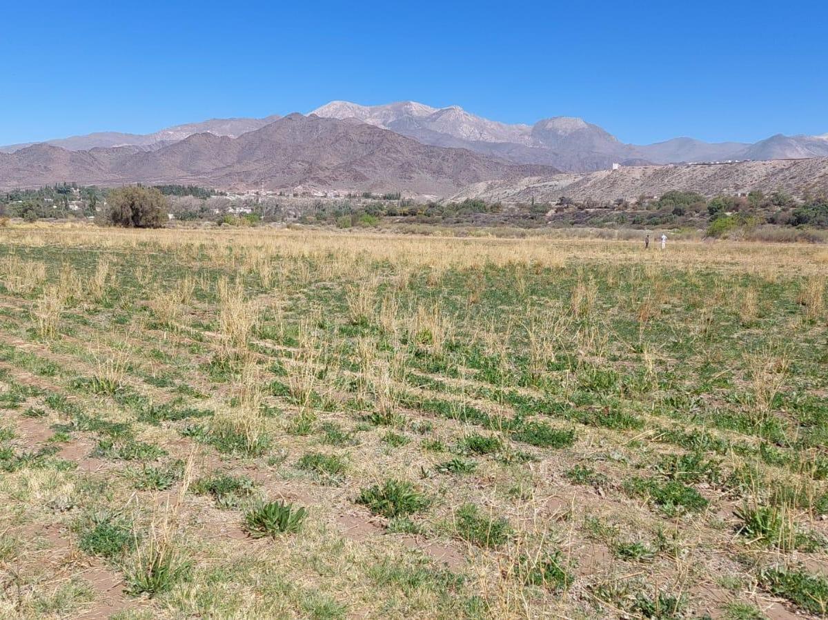 Vendo Terreno 5 Ha Cachi - Salta 2