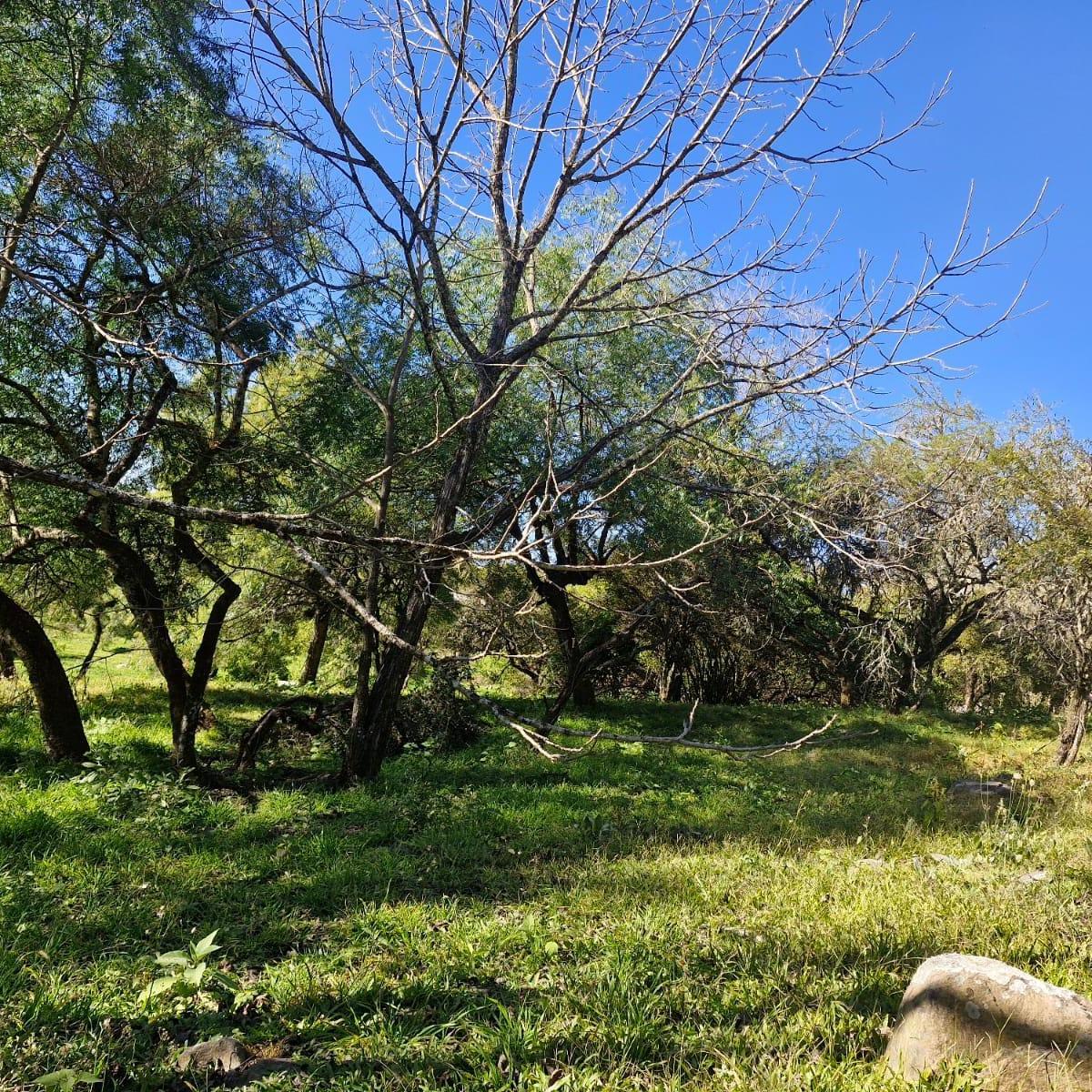EXCELENTE TERRENO LA HOYADA DE CASTELLANOS