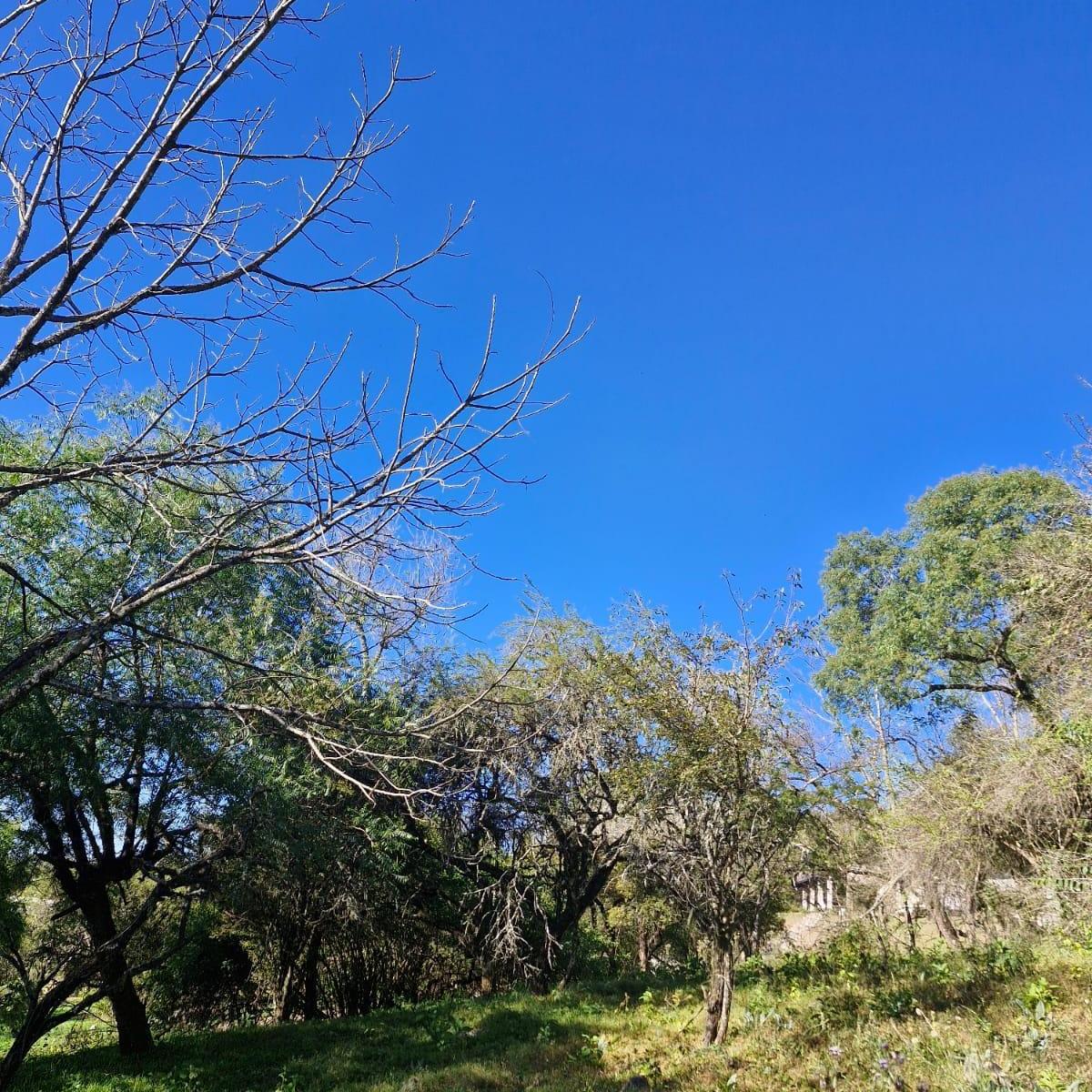 Foto de EXCELENTE TERRENO LA HOYADA DE CASTELLANOS, imagen 5