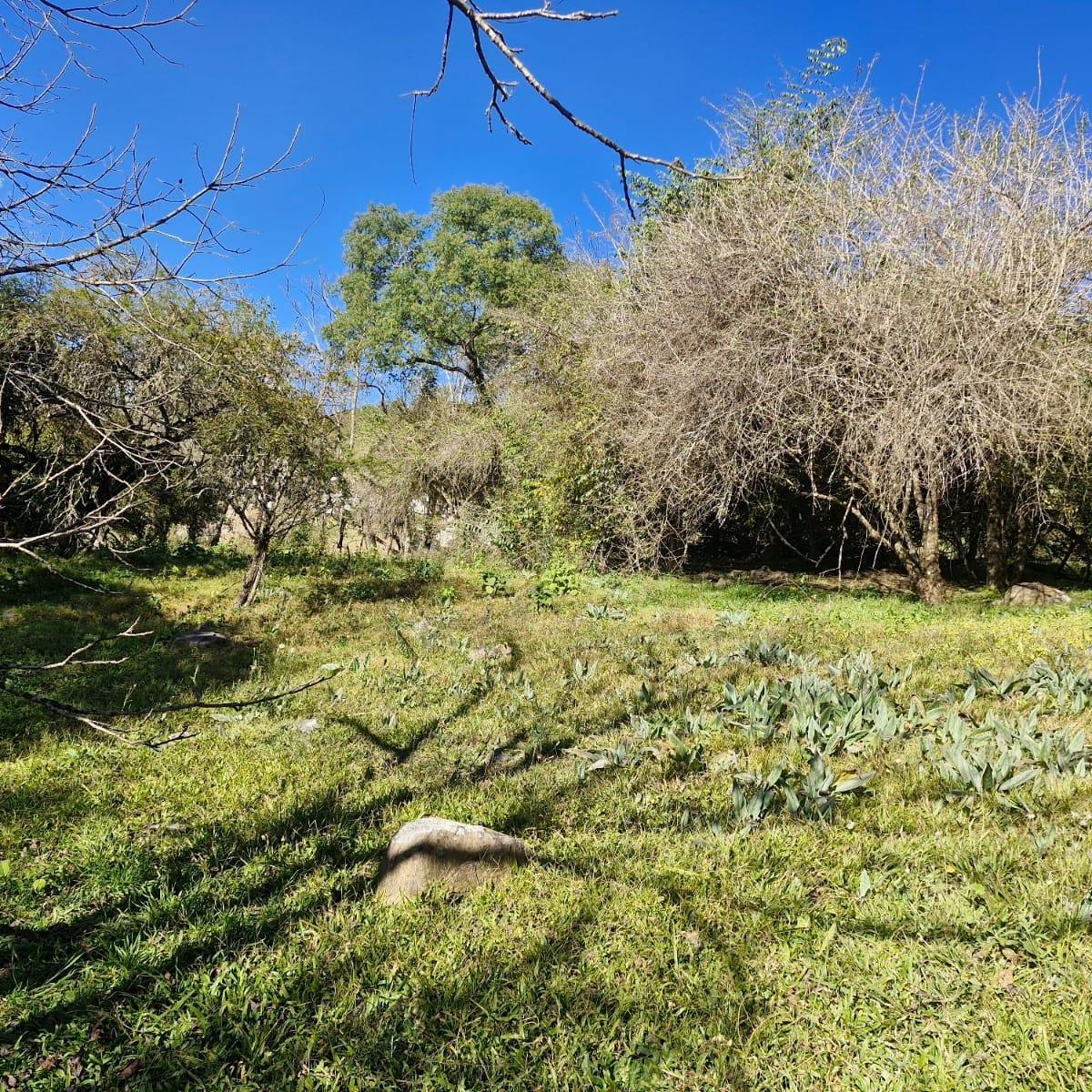 Foto de EXCELENTE TERRENO LA HOYADA DE CASTELLANOS, imagen 2
