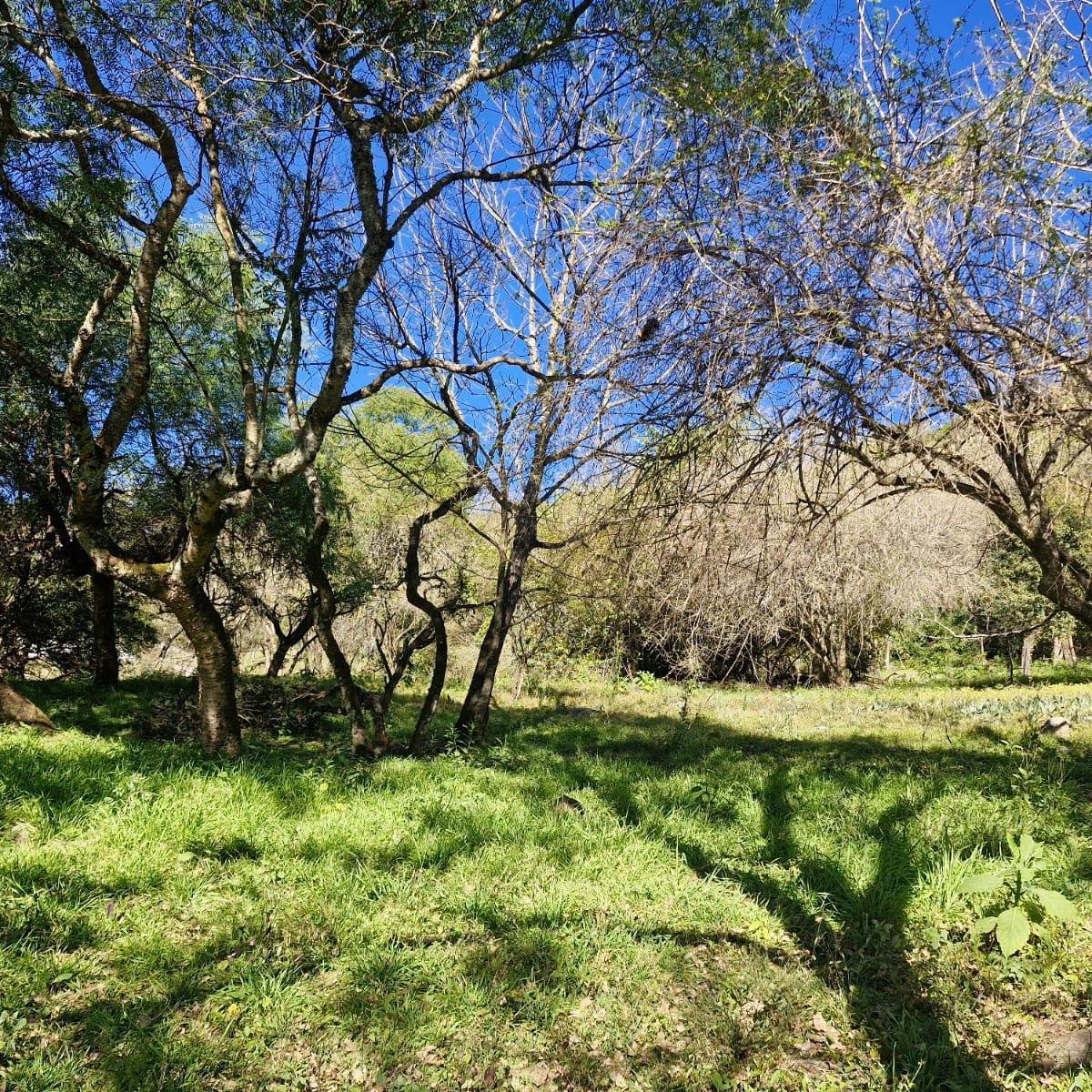 VENDO TERRENO LA HOYADA DE CASTELLANOS