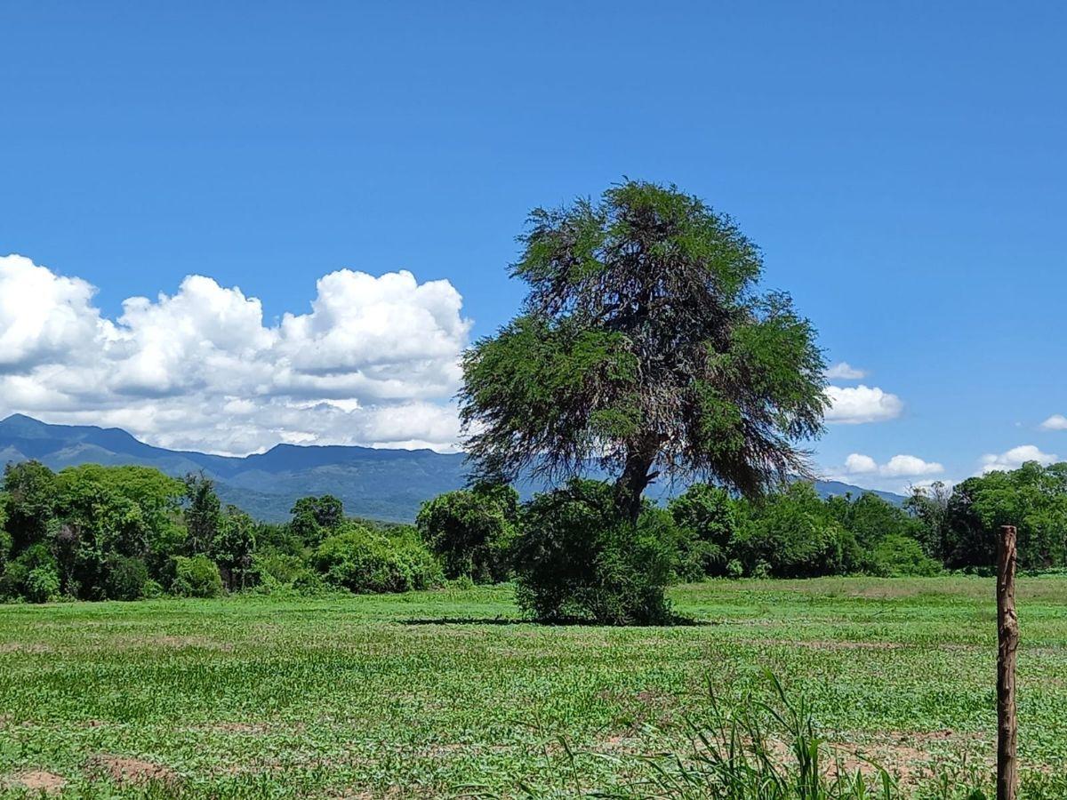 FINCA CON CASA DE ADOBE