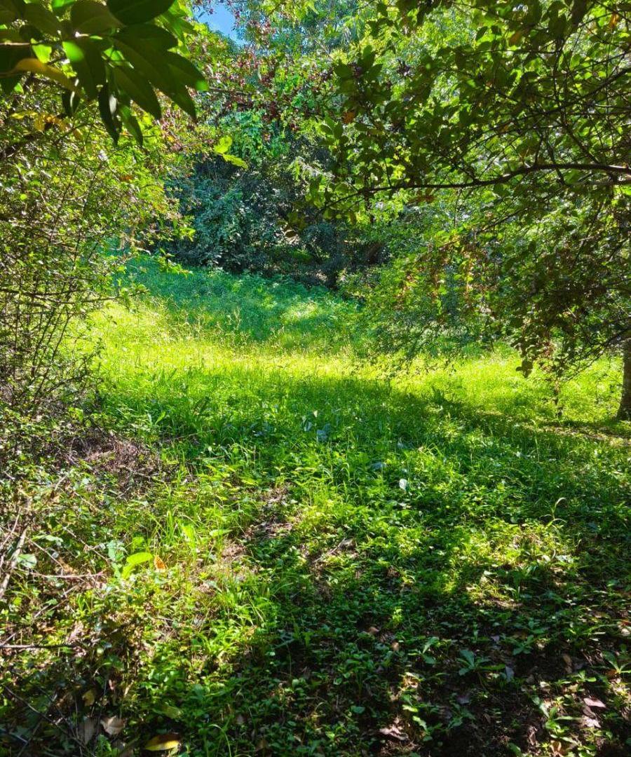 Foto de Excelente terreno Los Zarzos, San Lorenzo, imagen 5