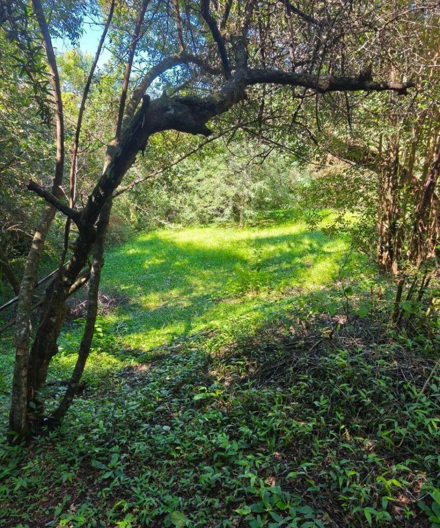 Foto de Excelente terreno Los Zarzos, San Lorenzo, imagen 4