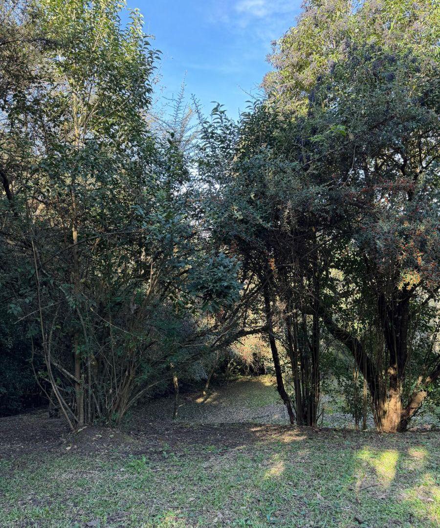 Foto de Excelente terreno Los Zarzos, San Lorenzo, imagen 2