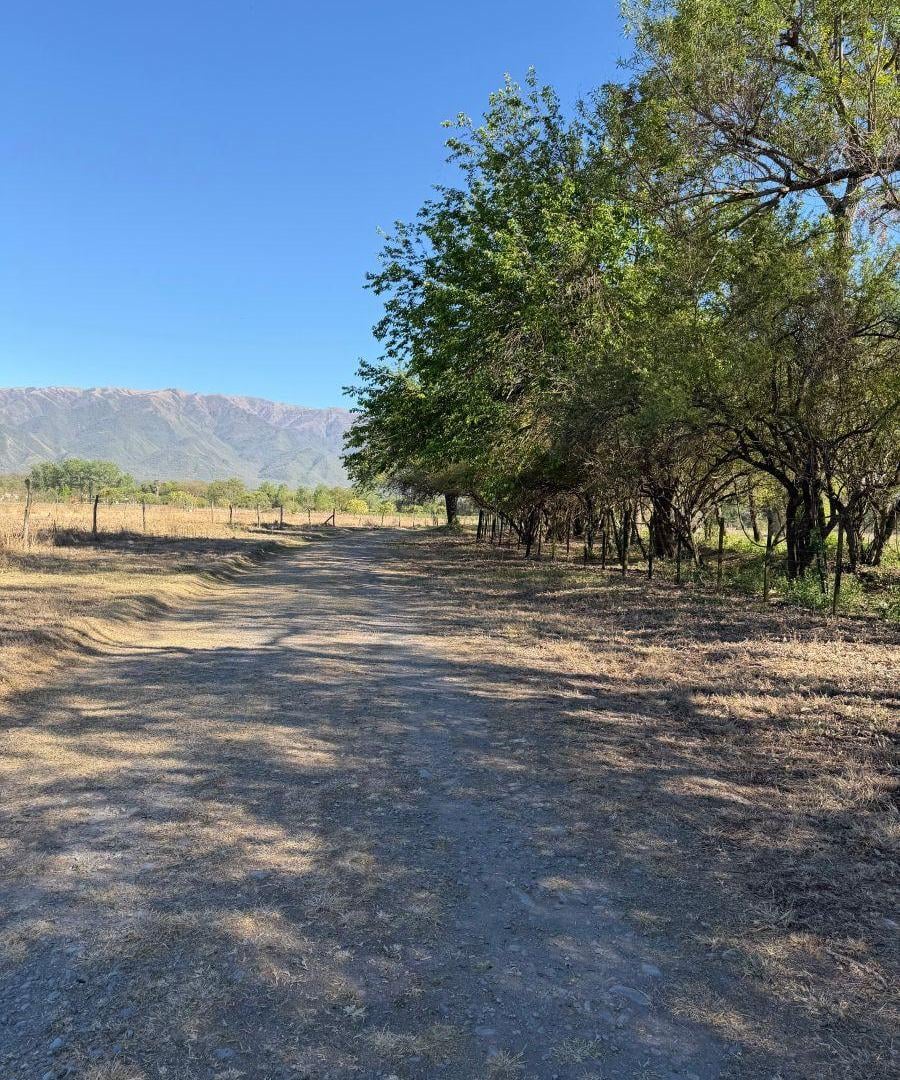 Foto de Terreno de 6911 m2 en Chacras de la La Silleta, Salta, imagen 4