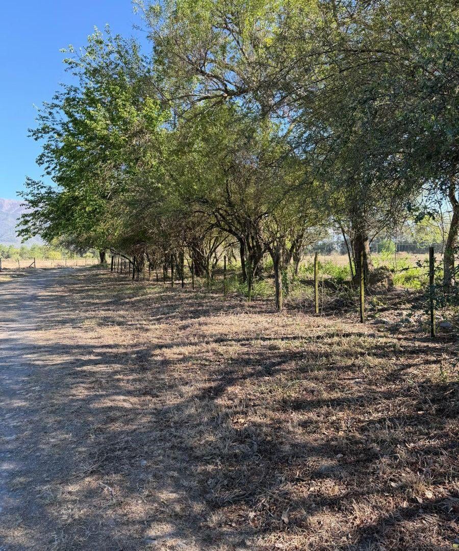 Foto de Terreno de 6911 m2 en Chacras de la La Silleta, Salta, imagen 3