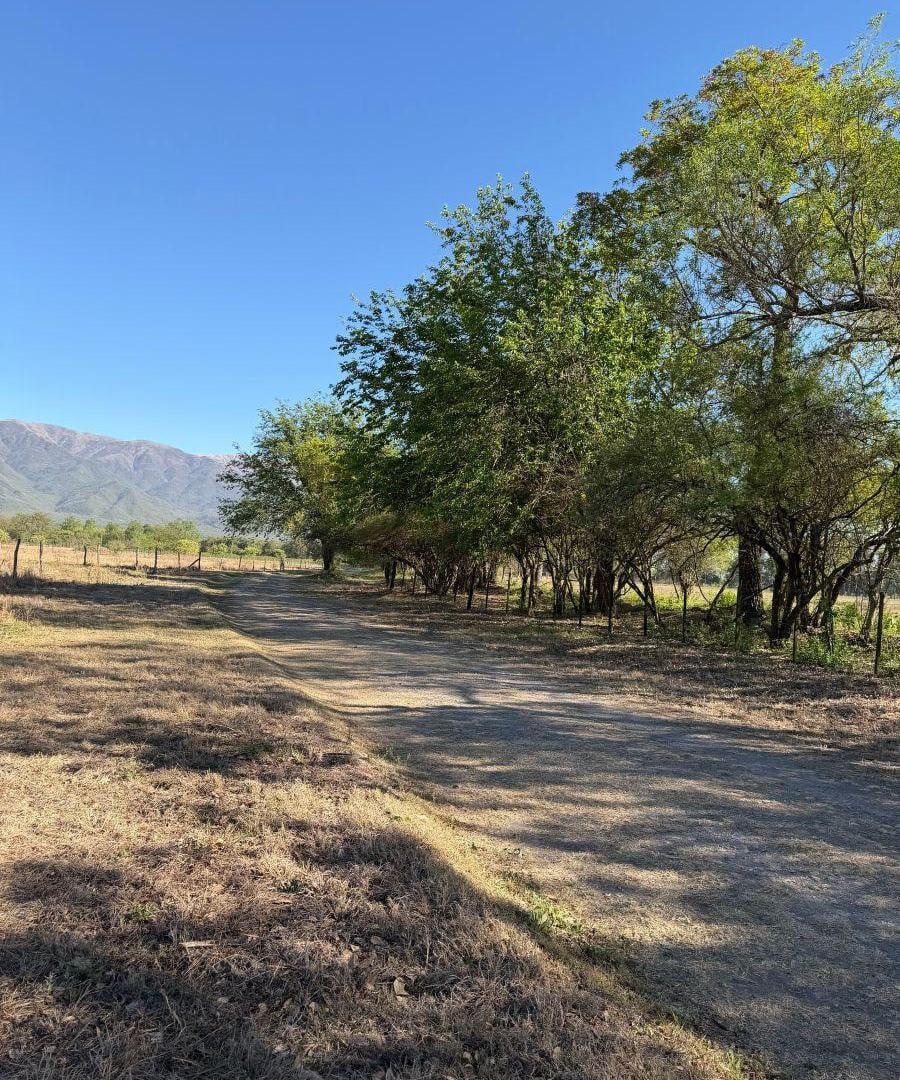 Foto de Terreno de 6911 m2 en Chacras de la La Silleta, Salta, imagen 2